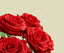 RED ROSES (Room Spray)